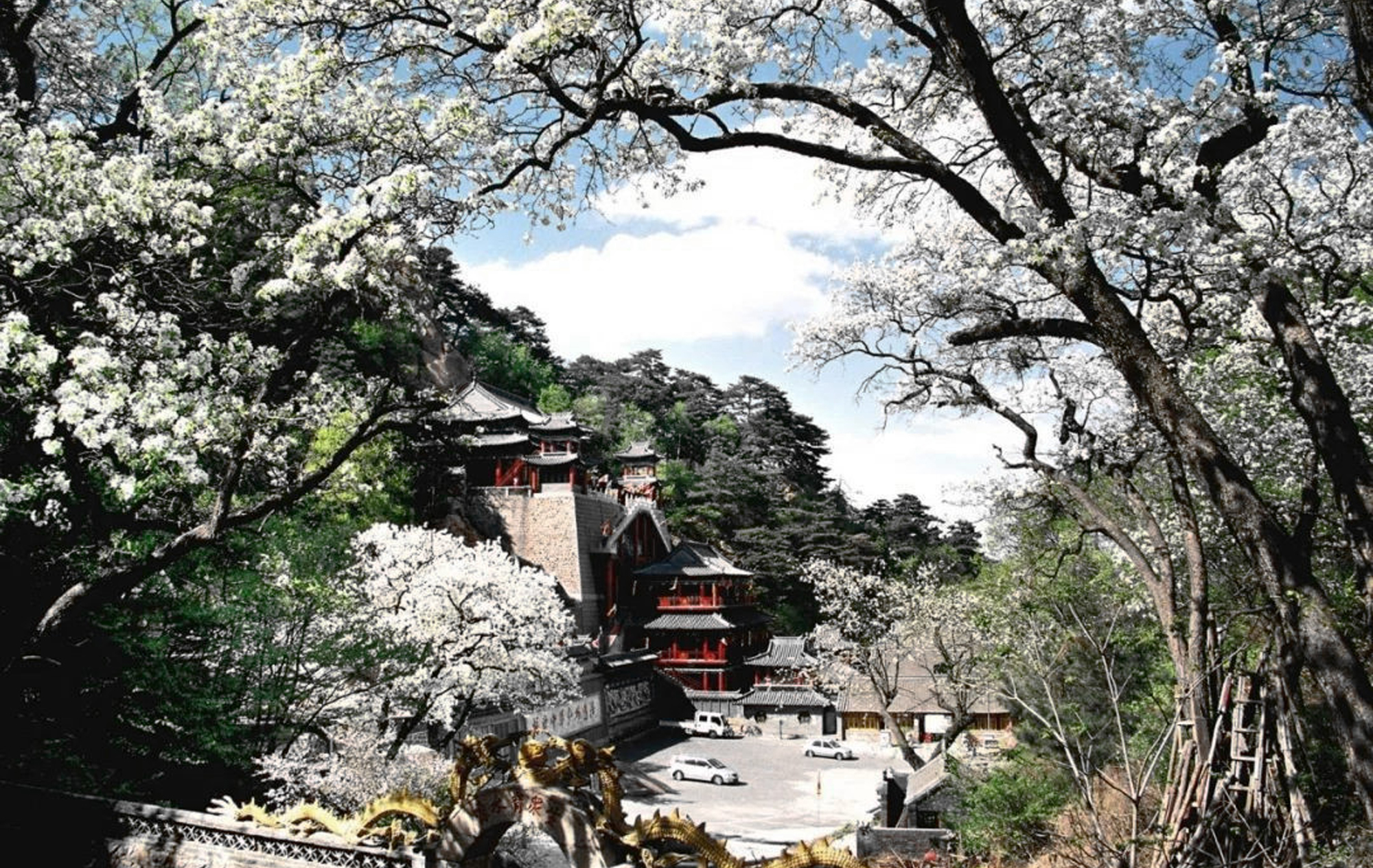 春夏之交北國風(fēng)光，梨花綻放沁人心脾。東北腹地，千山腳下。
